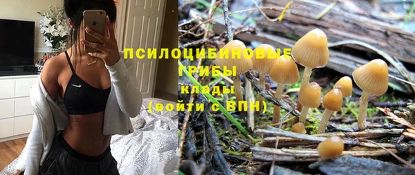 бошки Алексеевка