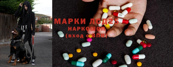мяу мяу мука Алексин