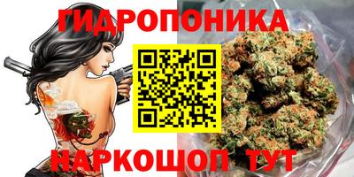 не бодяженный Моздок