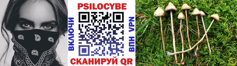 что такое наркотик  Ревда  blacksprut как зайти  Галлюциногенные грибы прущие грибы 